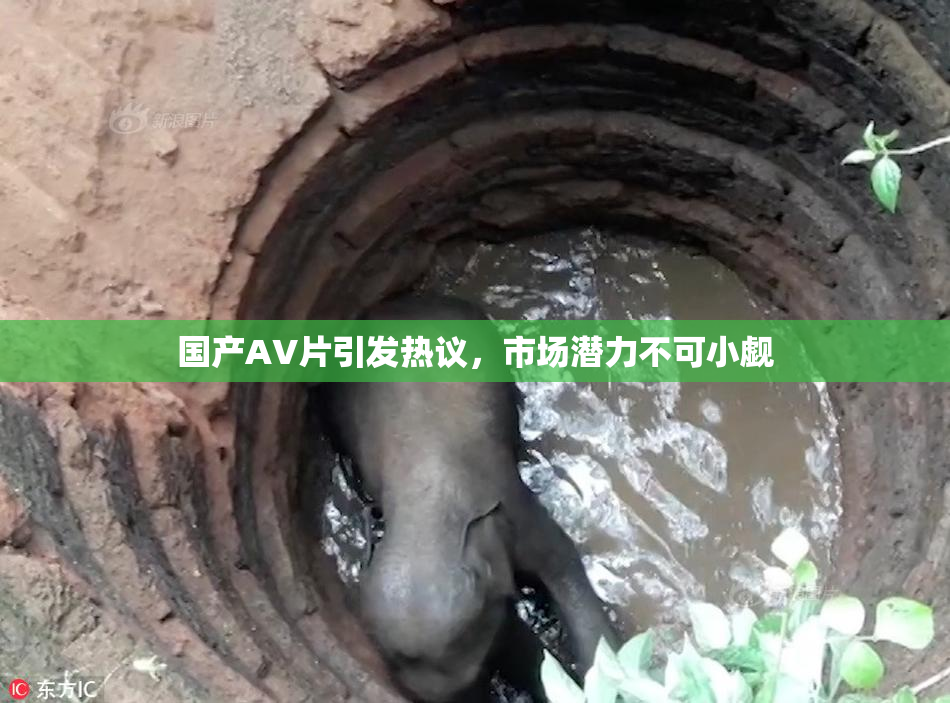 国产AV片引发热议，市场潜力不可小觑