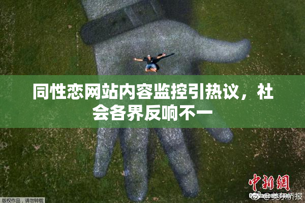 同性恋网站内容监控引热议，社会各界反响不一