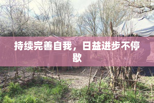 持续完善自我，日益进步不停歇