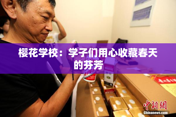 樱花学校：学子们用心收藏春天的芬芳