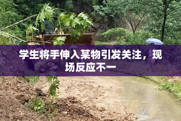 学生将手伸入某物引发关注，现场反应不一