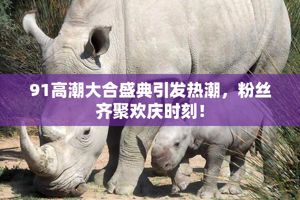 91高潮大合盛典引发热潮，粉丝齐聚欢庆时刻！