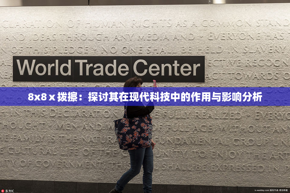 8x8ⅹ拨擦：探讨其在现代科技中的作用与影响分析