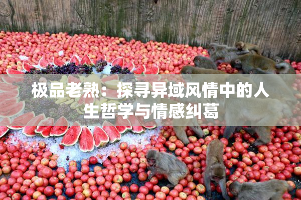 极品老熟：探寻异域风情中的人生哲学与情感纠葛