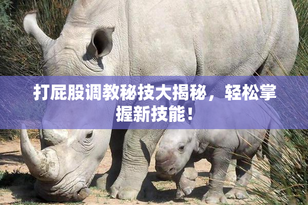 打屁股调教秘技大揭秘，轻松掌握新技能！