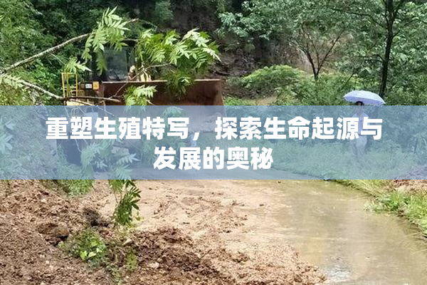 重塑生殖特写，探索生命起源与发展的奥秘