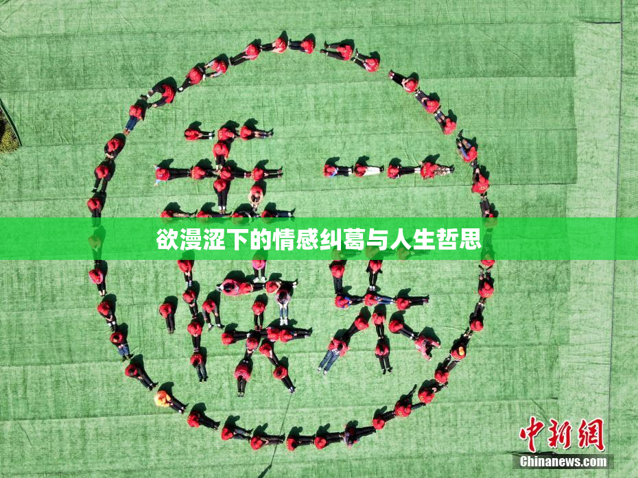 欲漫涩下的情感纠葛与人生哲思