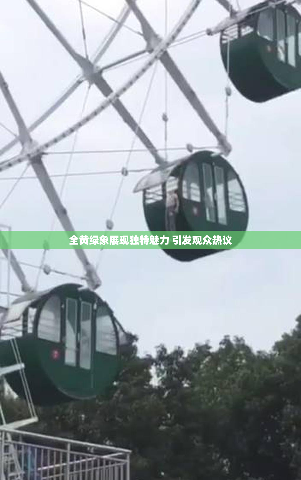 全黄绿象展现独特魅力 引发观众热议