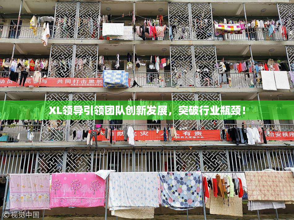 XL领导引领团队创新发展，突破行业瓶颈！