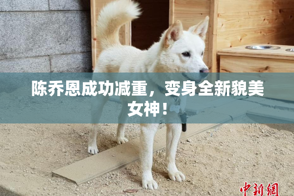 陈乔恩成功减重，变身全新貌美女神！