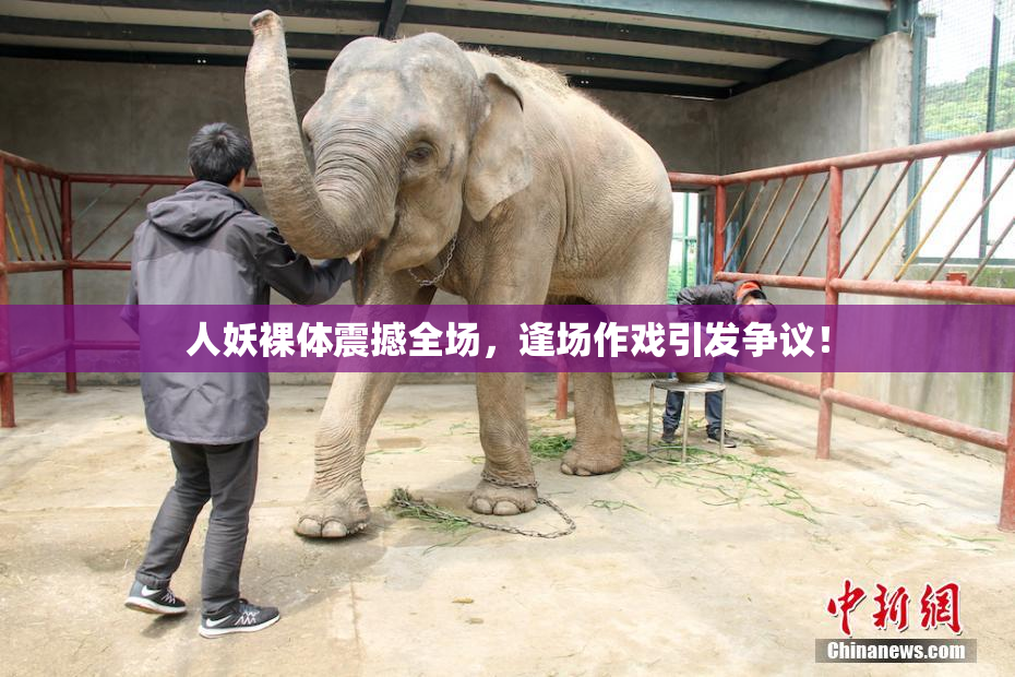 人妖裸体震撼全场，逢场作戏引发争议！