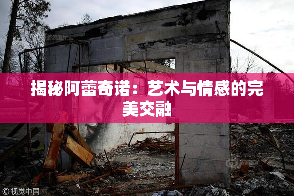 揭秘阿蕾奇诺：艺术与情感的完美交融