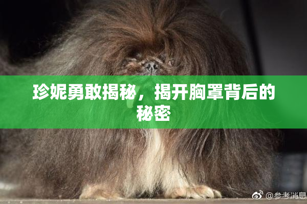 珍妮勇敢揭秘，揭开胸罩背后的秘密