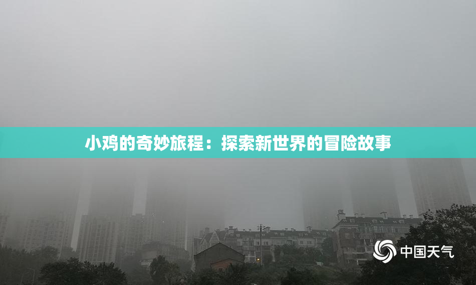 小鸡的奇妙旅程：探索新世界的冒险故事