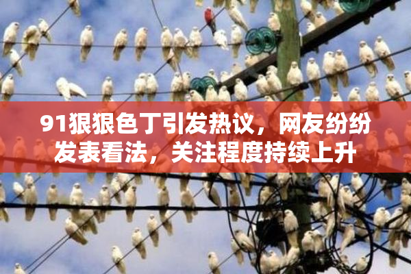 91狠狠色丁引发热议，网友纷纷发表看法，关注程度持续上升