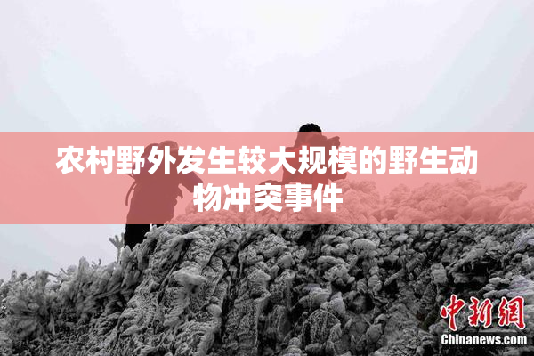 农村野外发生较大规模的野生动物冲突事件