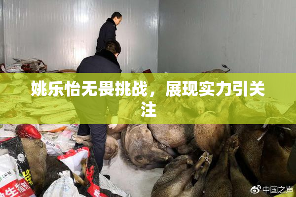 姚乐怡无畏挑战，展现实力引关注
