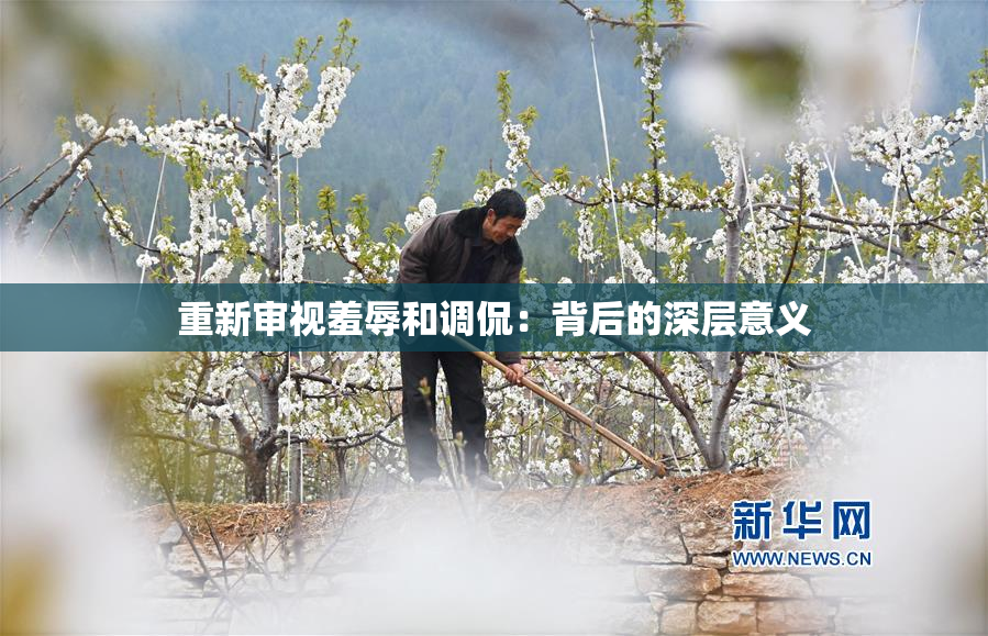 重新审视羞辱和调侃：背后的深层意义
