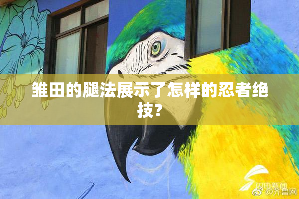 雏田的腿法展示了怎样的忍者绝技？