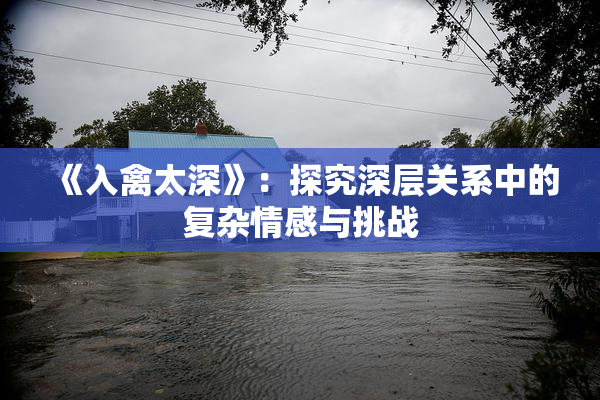《入禽太深》：探究深层关系中的复杂情感与挑战