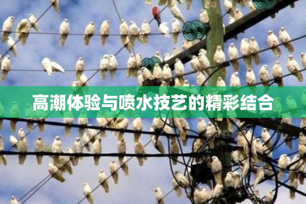 高潮体验与喷水技艺的精彩结合