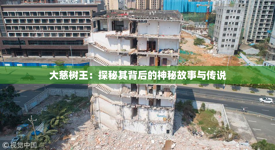 大慈树王：探秘其背后的神秘故事与传说