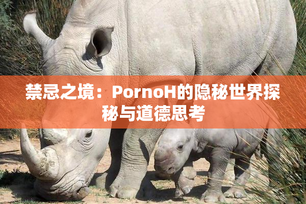 禁忌之境：PornoH的隐秘世界探秘与道德思考