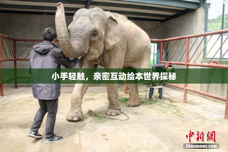 小手轻触，亲密互动绘本世界探秘