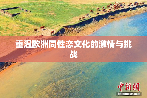 重温欧洲同性恋文化的激情与挑战