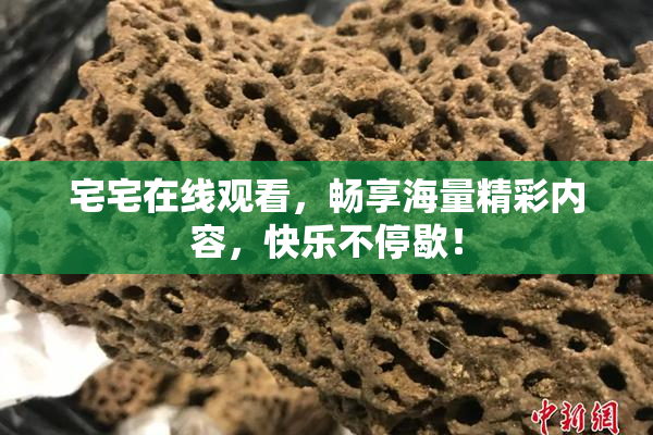 宅宅在线观看，畅享海量精彩内容，快乐不停歇！