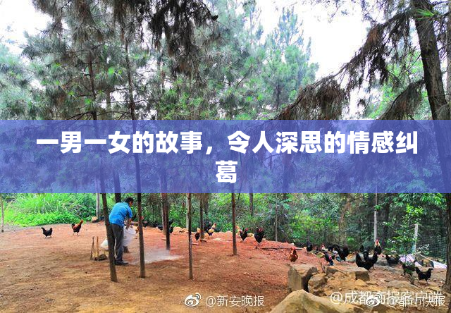 一男一女的故事，令人深思的情感纠葛