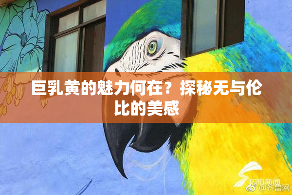 巨乳黄的魅力何在？探秘无与伦比的美感