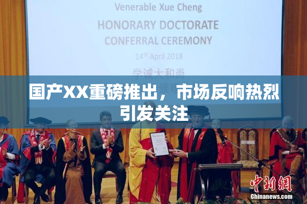 国产XX重磅推出，市场反响热烈引发关注