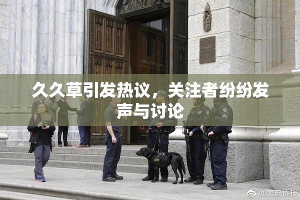 久久草引发热议，关注者纷纷发声与讨论