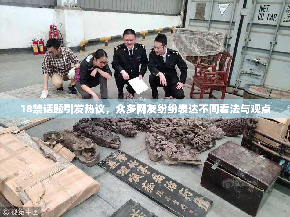 18禁话题引发热议，众多网友纷纷表达不同看法与观点