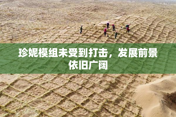 珍妮模组未受到打击，发展前景依旧广阔