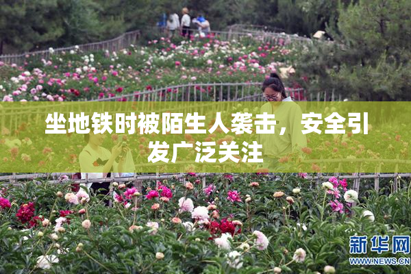 坐地铁时被陌生人袭击，安全引发广泛关注