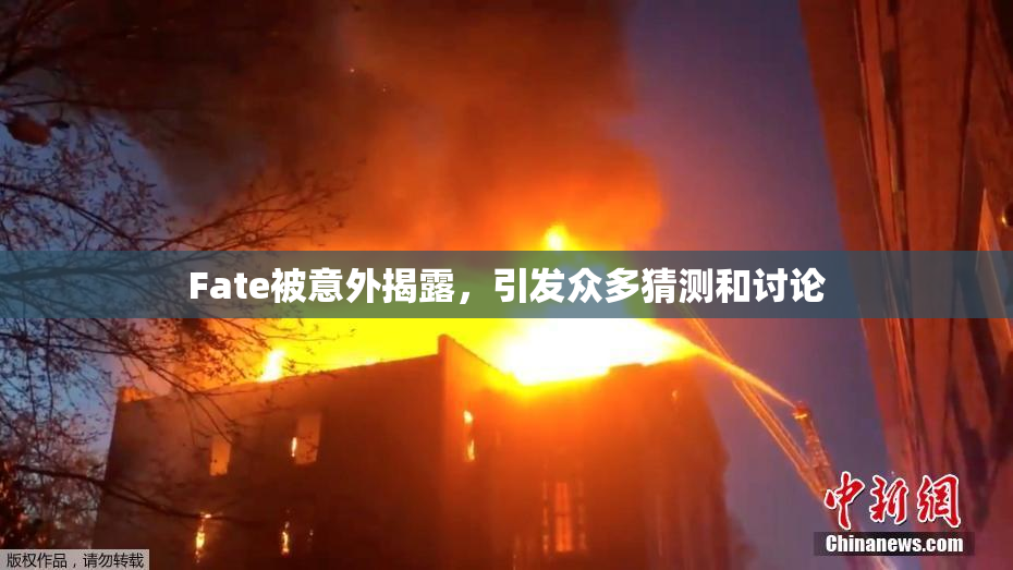 Fate被意外揭露，引发众多猜测和讨论