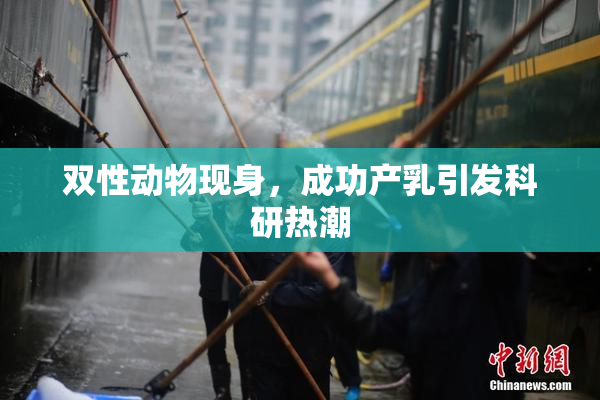 双性动物现身，成功产乳引发科研热潮