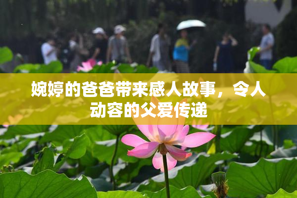 婉婷的爸爸带来感人故事，令人动容的父爱传递