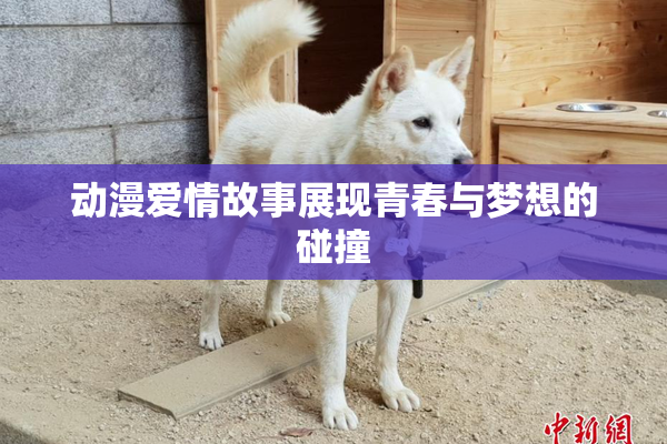 动漫爱情故事展现青春与梦想的碰撞
