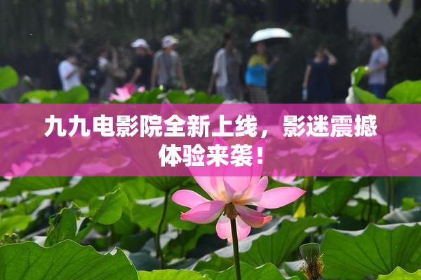 九九电影院全新上线，影迷震撼体验来袭！