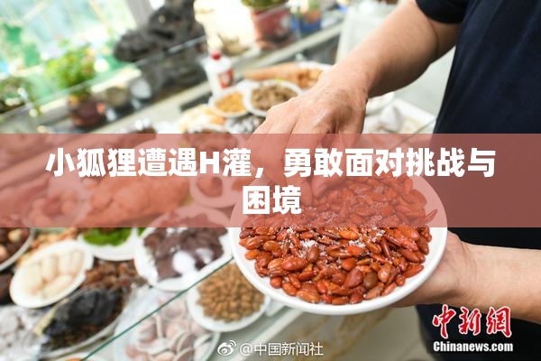 小狐狸遭遇H灌，勇敢面对挑战与困境
