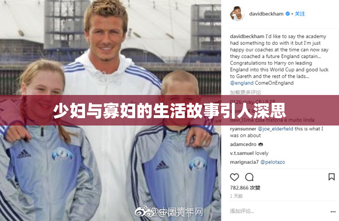少妇与寡妇的生活故事引人深思