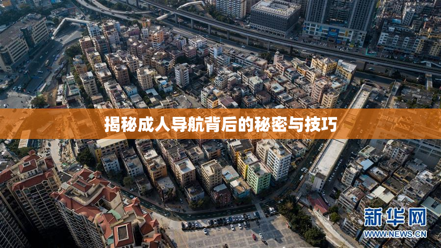 揭秘成人导航背后的秘密与技巧