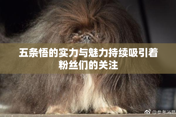 五条悟的实力与魅力持续吸引着粉丝们的关注