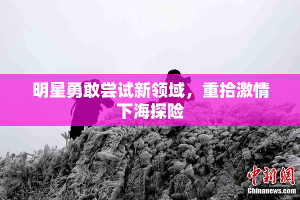 明星勇敢尝试新领域，重拾激情下海探险