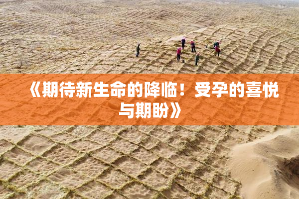 《期待新生命的降临！受孕的喜悦与期盼》