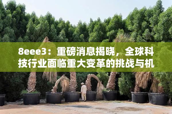 8eee3：重磅消息揭晓，全球科技行业面临重大变革的挑战与机遇