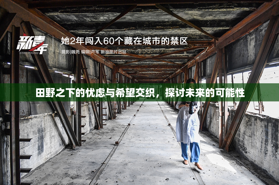 田野之下的忧虑与希望交织，探讨未来的可能性